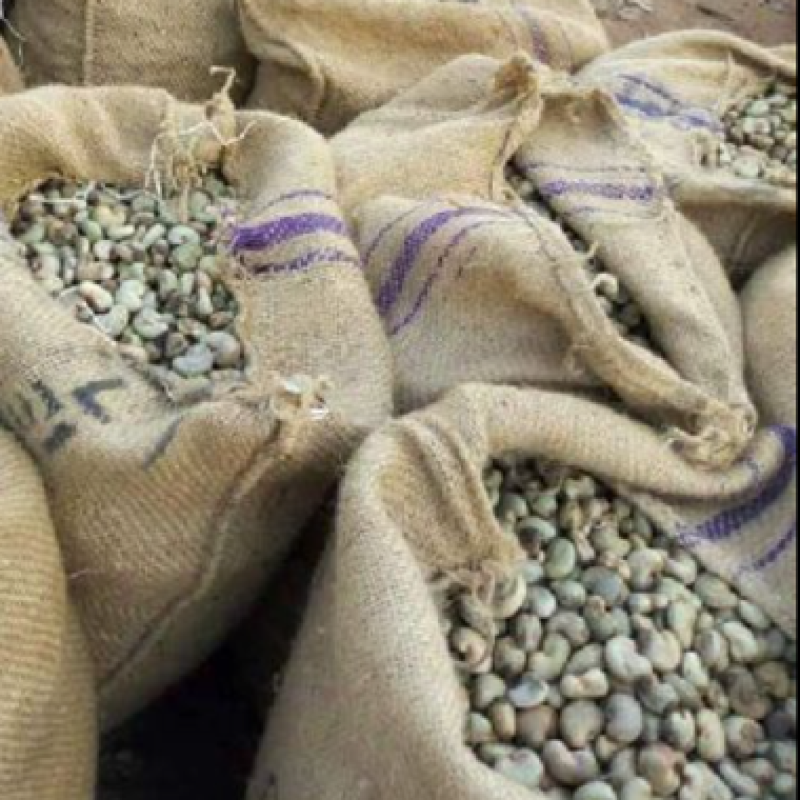 Cashew from Nigeria